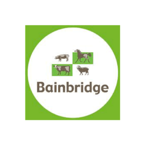 Bainbridge